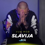 Vuk-Mob---Slavija