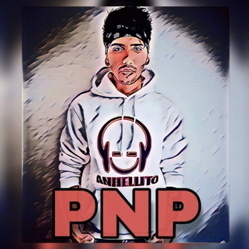 Pare-Nisu-Problem-PNP.jpg
