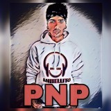 Pare-Nisu-Problem-PNP