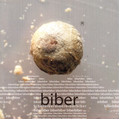 Biber-2004---Biber.jpg