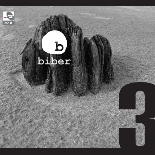 Biber-2019---3.jpg
