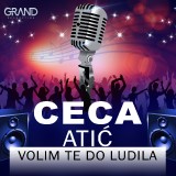 Volim-te-do-ludila---Single