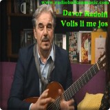 Davor-Radolfi---Volis-li-me-jos