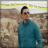 Mirza-Selimovic---Ko-te-pamti